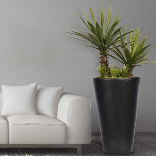 PRIMRUE 50" Faux Agave Succulent Foliage Tree In Fiberstone Planter
