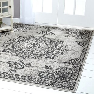 Nicole Miller Medallion Oriental Gray/Black Indoor/Outdoor Area Rug