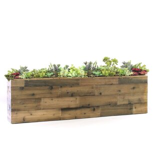 DALMARKO DESIGNS 60'' Faux Succulent Plant in Wood Planter