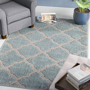 TRISHA YEARWOOD HOME COLLECTION Pipestone Turquoise Rug