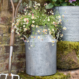 BRAMBLY COTTAGE Metal Pot Planter