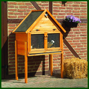 DCOR DESIGN Small Animal Hutch