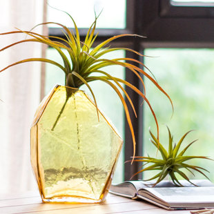 WROUGHT STUDIO™ Gerst Indoor / Outdoor Glass Table Vase