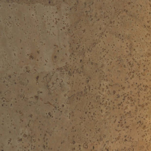 APC CORK Truly Green Cork 12'' W