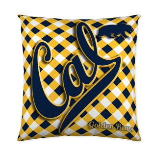 DREAM & FUN® HOME DÉCOR Plaid Throw Pillow