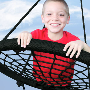 M&M Sales Enterprise Metal Black Web / Saucer Swing Web Seat, Ropes, Spring Clips with Chains