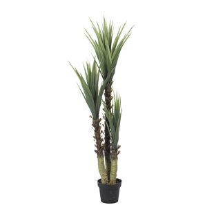 BAYOU BREEZE 61'' Faux Yucca Tree in Ceramic Planter