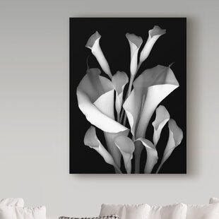 TRADEMARK FINE ART Susan S. Barmon " White Calla 2 Black And White "