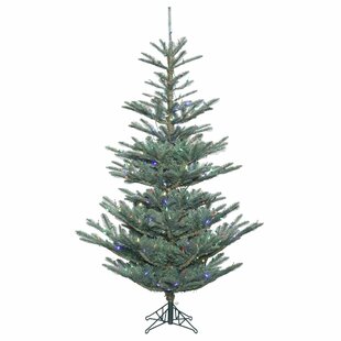 Vickerman Alberta Blue Spruce Artificial Christmas 144'' Lighted Spruce Christmas Tree