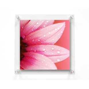 WEXEL ART 23" x 23" Double Panel Picture Frame