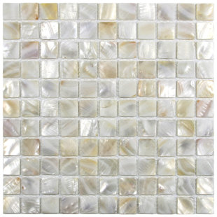 CNK TILE Atlantic 1" x 1" Seashell Mosaic Tile in Cream