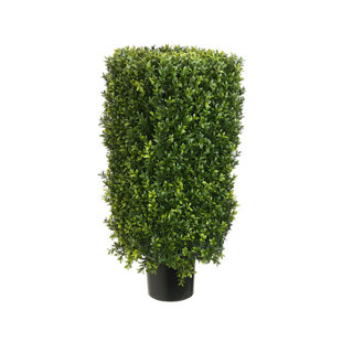 TORI HOME Rectangle Boxwood Topiary in Pot Liner Liner