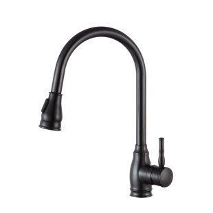 ANZZI Bell Series Pull Out Kitchen Faucet
