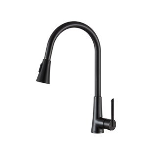 ANZZI Tulip Series Pull Out Kitchen Faucet