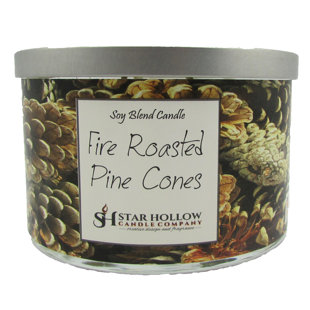 STAR HOLLOW CANDLE COMPANY Fire Roasted Pine Cones Scented Jar Candle