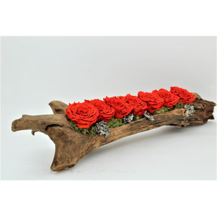 T&C FLORAL COMPANY Preserved Rose Arrangement in Planter