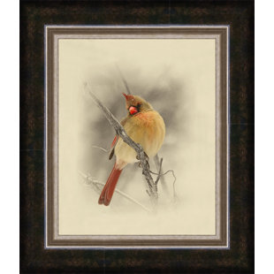 MILLWOOD PINES 'Female Cardinal' Framed Photographic Print on Canvas