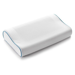 ALWYN HOME Adira Memory Foam Firm Pillow