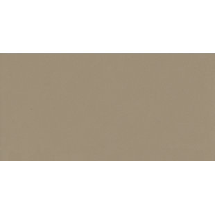 WALKON TILE Element 11.75'' W x 23.62'' L Porcelain Singular Tile