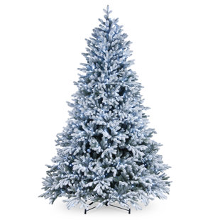 National Tree Company 7.5 ft. Snowy Hamilton Spruce Tree with Cool White LED Lights