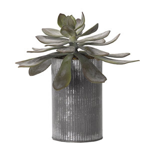 STEELSIDE™ 10'' Faux Echeveria Plant in Metal Planter