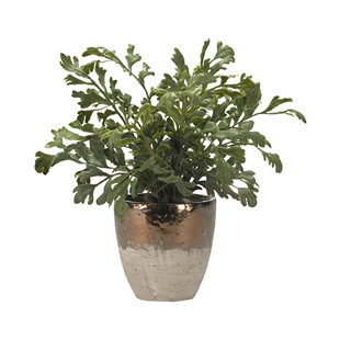 WORLD MENAGERIE 15'' Faux Harefoot Fern Plant in Ceramic Planter