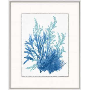 Shoreline " Azure Ocean Herbarium 9 " by Lillian August