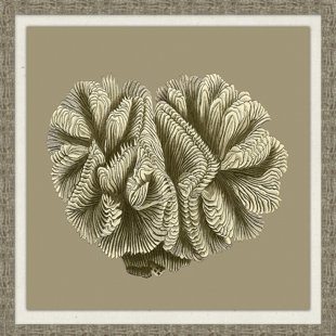 Shoreline " Graphic Coral Collection 4 " by Lillian August