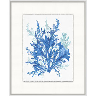 Shoreline " Azure Ocean Herbarium 8 " by Lillian August