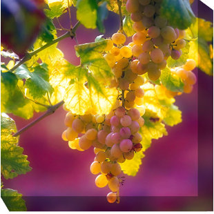 WEST OF THE WIND OUTDOOR CANVAS ART All-Weather Canvas Plants & Flowers Wall Decor