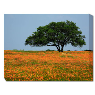 WEST OF THE WIND OUTDOOR CANVAS ART Majestic Oak Framed Photographic Print on Wrapped Canvas