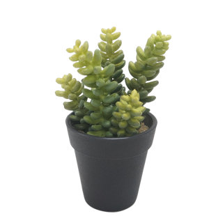 PRIMRUE 5.8'' Faux Succulent Plant in Pot (Set of 4)