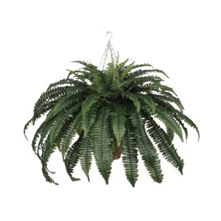 BAY ISLE HOME™ 24'' Faux Fern Plant in Basket
