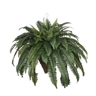 BAY ISLE HOME™ 24'' Faux Fern Plant in Basket