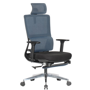 SYMPLE STUFF Malachy Ergonomic Mesh Task Chair with Headrest