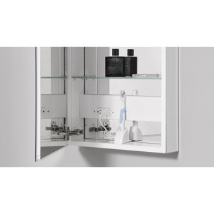 ROBERN PL Series 23.25'' W 30'' H Frameless Medicine Cabinet with Mirror and 3 Adjustable Shelves