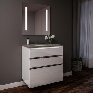 ROBERN Curated Cartesian 25" Wall-Mounted Bathroom Vanity Set