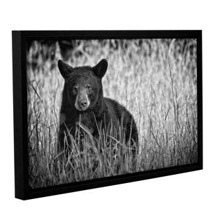LOON PEAK® " Black Bear Cades Cove B&W "