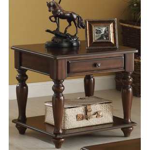 DARBY HOME CO Paloalto Solid Wood End Table with Storage