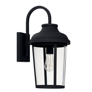 ALCOTT HILL® Meurer Wall Light