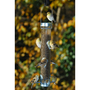 DROLL YANKEES, INC Classic Tube Bird Feeder