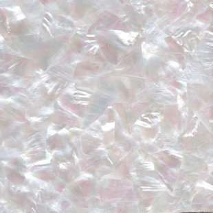 MATRIX-Z 2" x 7.5" Authentic SeaShell Listello/Border Tile Mosaic in White Mother of Pearl (Set of 12)