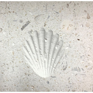 MATRIX-Z 6" x 6" SeaStone Decoartive Accent Tile in White