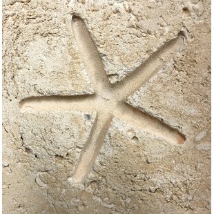 MATRIX-Z 6" x 6" Cement Star Fish Fossil Impression Medallion Tile in Buff