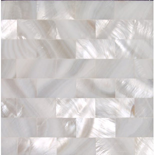 MATRIX-Z SeaTile 4"x 4" Natural Shell Listello/Border Tile in White Mother of Pearl (Set of 9)