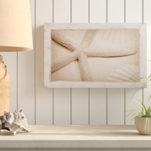 HIGHLAND DUNES " Starfish, Shells And Sand " by Cora Niele