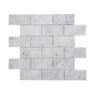 MATRIX STONE USA 2'' x 4'' Marble Brick Joint Mosaic Wall & Floor Tile