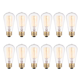 GLOBE ELECTRIC COMPANY 40 Watt E26/Medium (Standard) Dimmable 2200K Incandescent Bulb (Set of 12)