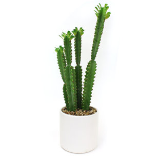 DAKOTA FIELDS 30'' Faux Cactus Plant in Ceramic Planter