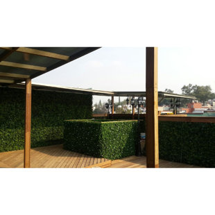 E-JOY 20'' Faux Boxwood Hedge